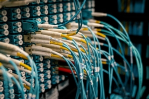 Fibre - Submit Application